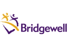 Bridgewell logo 1